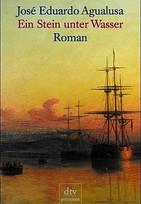 Ein Stein unter Wasser