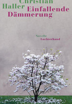 Einfallende Dämmerung