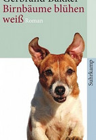 Birnbäume blühen weiß