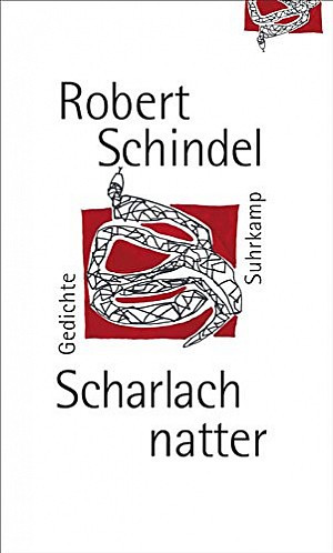 Scharlachnatter