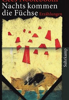 Nachts kommen die Füchse