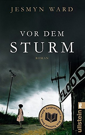 Vor dem Sturm