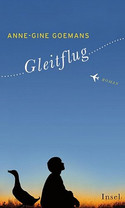 Gleitflug