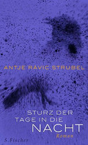 Sturz der Tage in die Nacht