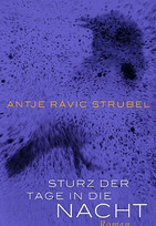 Sturz der Tage in die Nacht