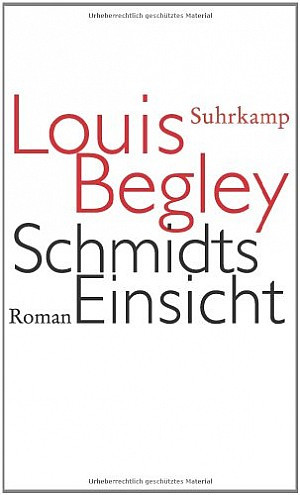 Schmidts Einsicht