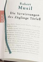 Die Verwirrungen des Zöglings Törleß