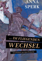 ... im fliegenden Wechsel: Geschichten aus dem Prekariat