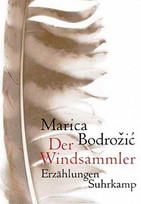 Der Windsammler