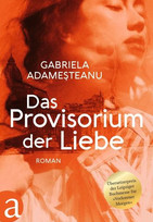 Das Provisorium der Liebe